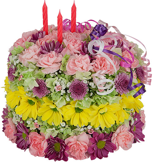 Tous les articles du blog