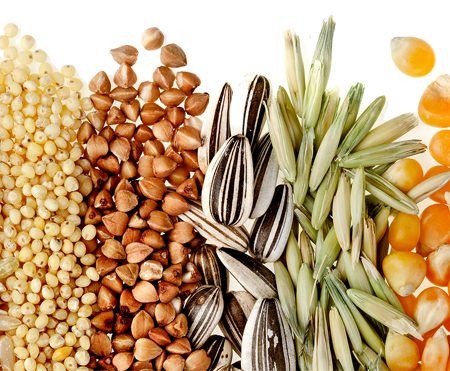 Guide de la durée de trempage des grains, céréales, légumineuses