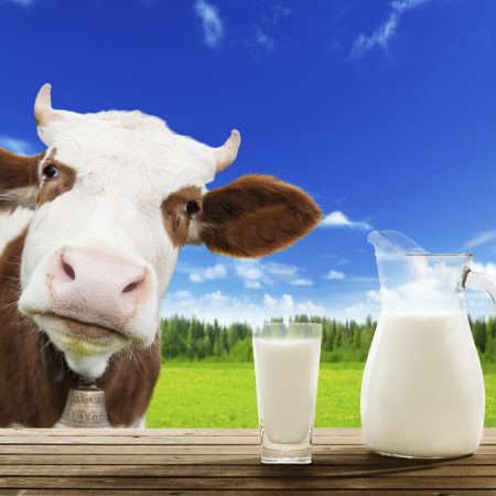 2.163 Comment savoir si mon lait est périmé