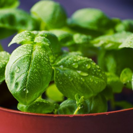 2.605 Aliments riches en Glycine (acides aminés), Additif E640