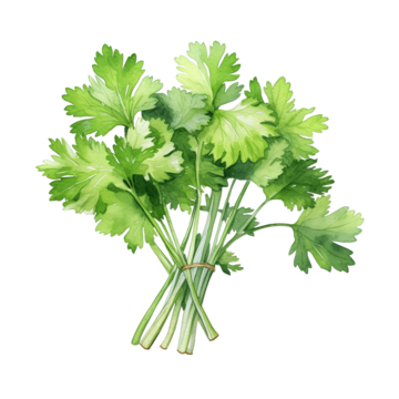 2.196 L'ABC des légumes feuilles