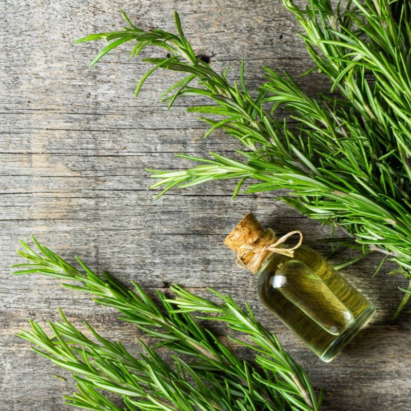 3.362 Additif alimentaire, E392 Extrait de romarin