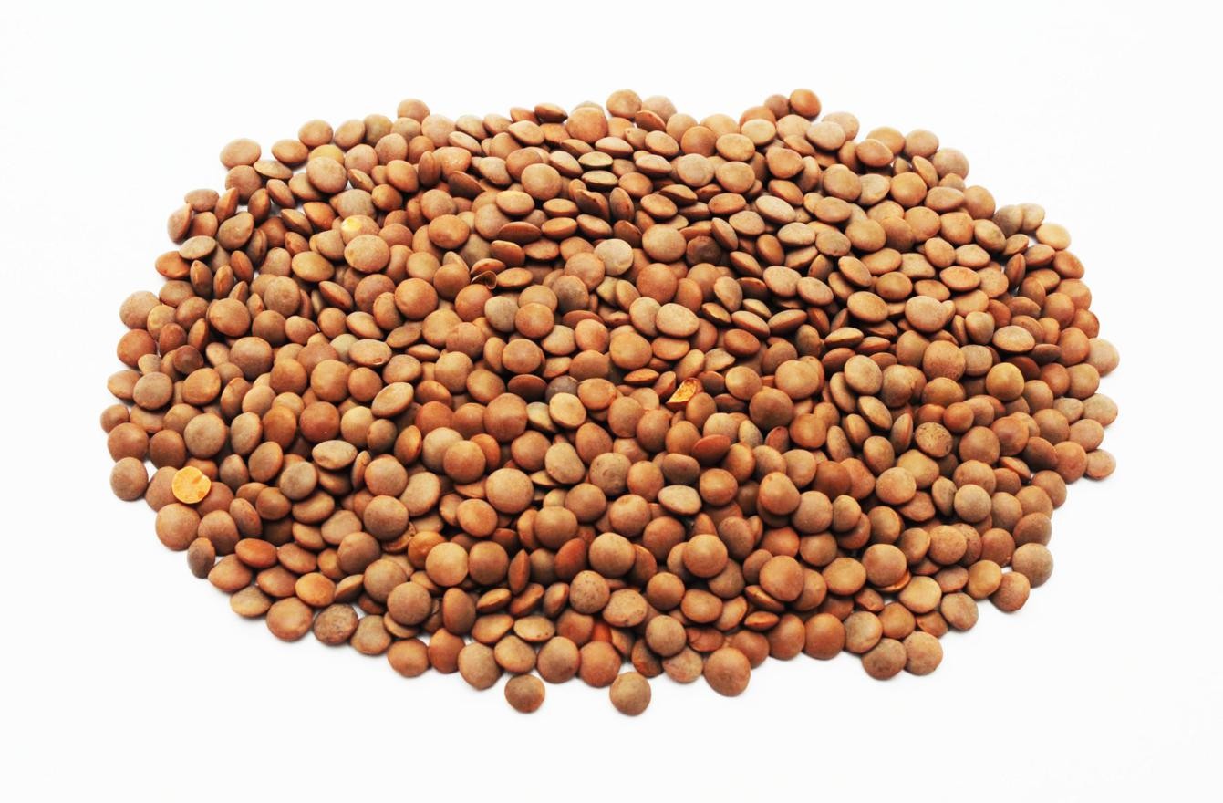 Tout connaître sur la lentille brune