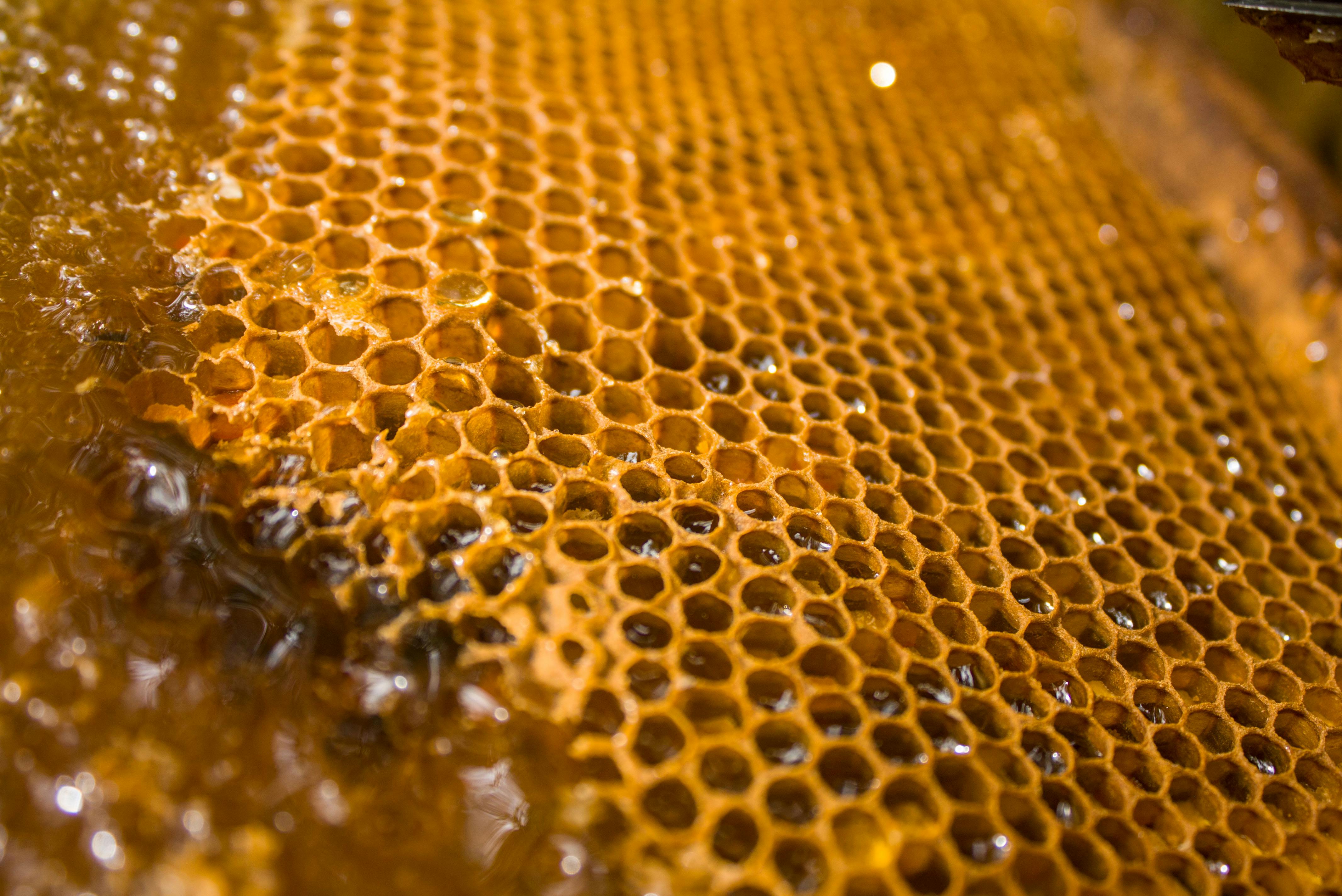 3.573 Additifs alimentaires →E901; Cire d'abeille, Cire blanche, Cire jaune