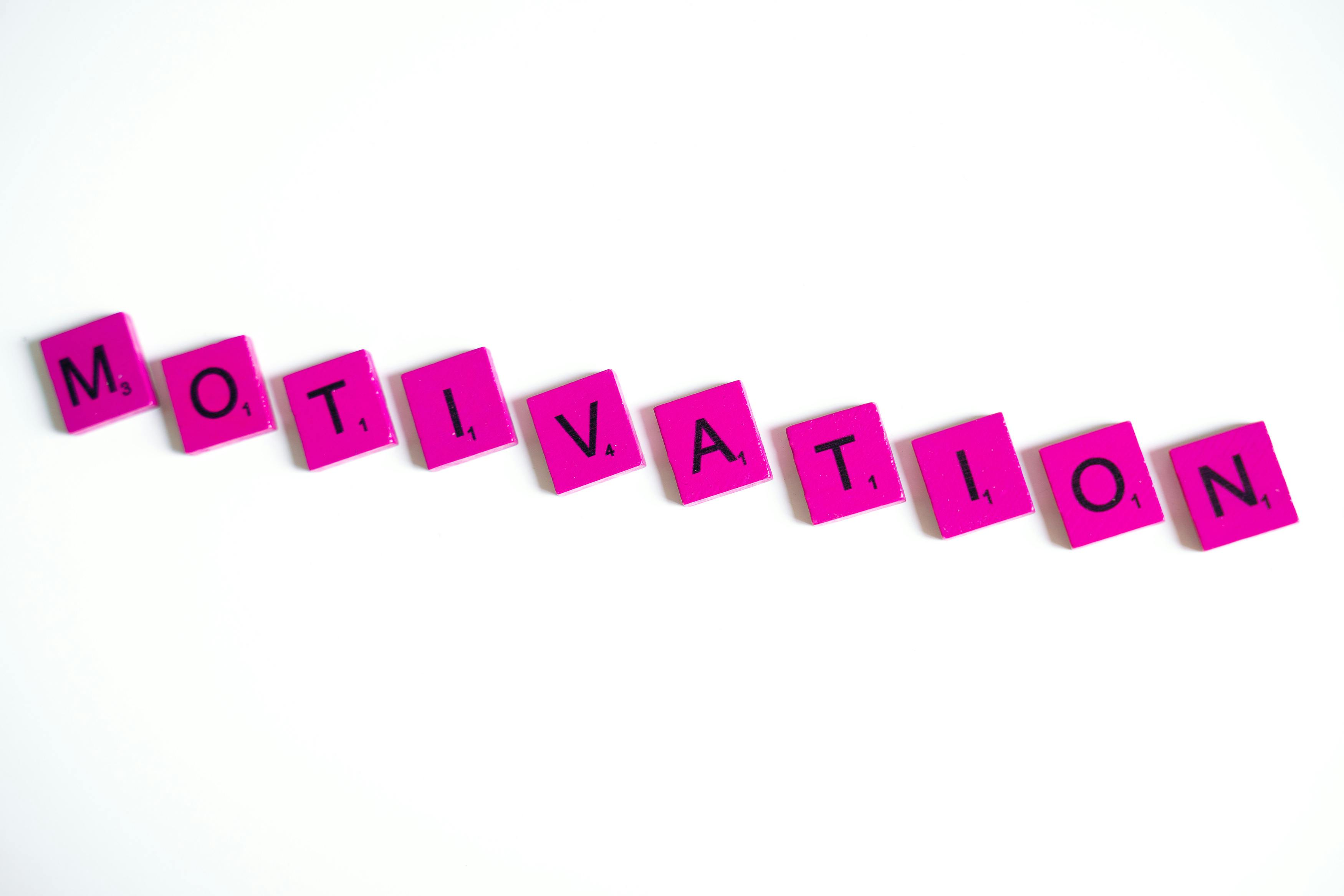 Débutant - Auto-évaluation – Diagnostic de motivation